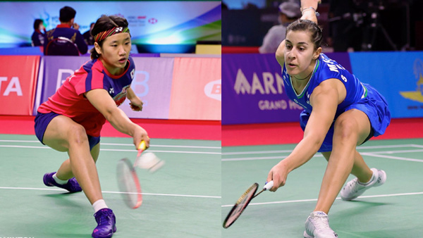 们提供了一 们提供了一